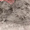 Человеческие кости нашли в Рязани во время ремонта