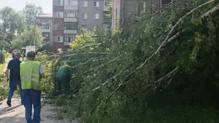 Во Владимире устраняют последствия ночного ливня и сильного ветра