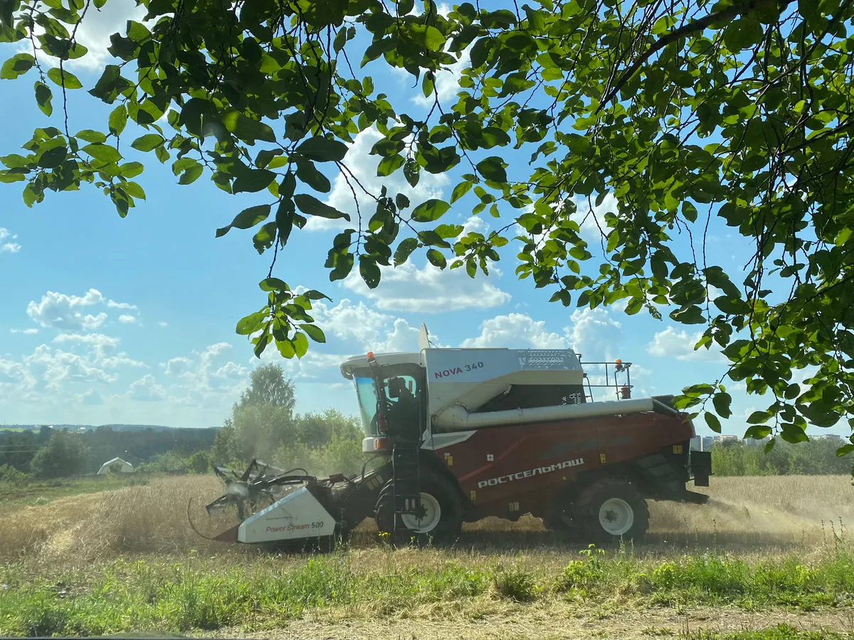 Урожай в Нижнекамском районе удался: на 25% больше чем в прошлом году