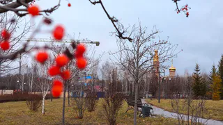 Погода в Нижнекамске в четверг, 13 ноября