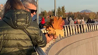 В Брянской области обновили тысячи дворов и общественных пространств