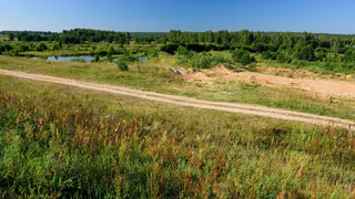 В деревню Мичурино Судогодского района проведут интернет этим летом