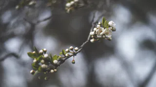 О погоде в Рязани - чем запомнится первая  неделя апреля