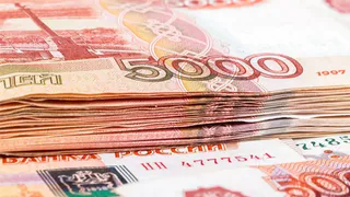 Глава брянского села незаконно поощрял себя премиями