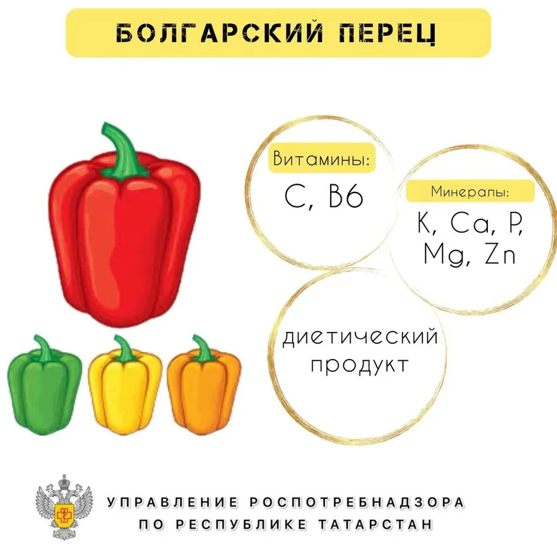 Содержит белки, углеводы и минимум жиров