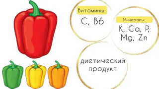 Содержит белки, углеводы и минимум жиров
