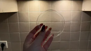 Крышки от сметаны не выбрасываю: 6 способов использовать их с пользой - пригодятся и на кухне, и в саду