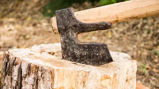 Еще одно дело о незаконной вырубке леса. Теперь в Селивановском районе