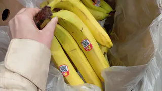 Эксперты поставили точку в вопросе: не опасно ли есть банан с черными точками на кожуре