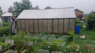 С 3 июня на теплицы вводится запрет: приняли решение для всех россиян, у кого есть дача или участок - новые штрафы