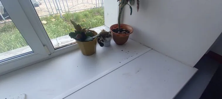 Юные вандалы на перроне: футболисты разгромили зал ожидания в Челябинской области