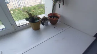 Юные вандалы на перроне: футболисты разгромили зал ожидания в Челябинской области