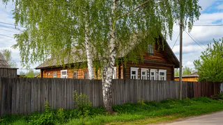 Почему деревенские старожилы сажали березу подальше от дома: дед рассказал причину - жаль раньше не знал 