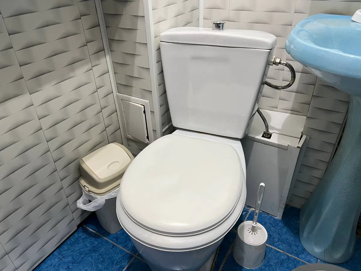 Беру одну таблетку и кидаю её в унитаз: сантехника в доме сияет, как зеркало - всё дело в одной уловке