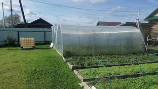 Соберёте столько кабачков, что продавать придётся: копеечное удобрение обеспечит обильный урожай «один к одному»