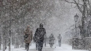 В Рязанской области 10 февраля ожидается снег, сильный ветер и до -8 градусов