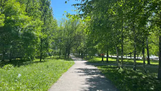 В Нижнем Ломове объявили аукцион на благоустройство сквера «Молодежный»