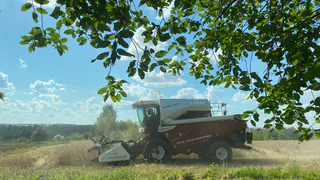 В Республике Татарстан аграриям предстоит завершить уборку урожая на площади 185 тысяч гектаров