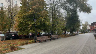 Зима в России официально отменяется: синоптики поделились прогнозом, будет ли снег на Новый год