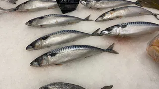 Названа самая полезная рыба - ешьте 2 раза в неделю, богата селеном, фосфором и хороша на вкус