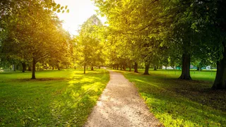 В сквере Металлургов появится ротонда