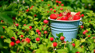 В Нижнекамске весь месяц будет по-настоящему летняя погода