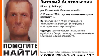 Пропавшего 18 июля 55-летнего Заломнова ищут в Пензенской области