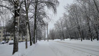 Погода в Коми на 26 января: сильный снег и +3°С