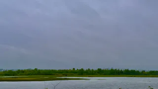 В одном из районов Коми компания загрязнила почву навозом