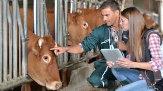 Россельхозбанк представил цифровую экосистему для фермеров на «Всероссийском дне поля – 2020»