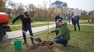Озеленение: депутаты рязанской думы высадили деревца на Лыбедском бульваре