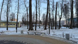 В районе Дашково-Песочни выявлено превышение ПДК сероводорода