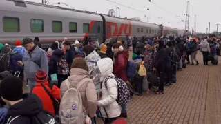 Первую группу детей из Белгородской области отправили в оздоровительные лагеря Пензы