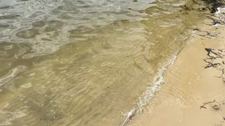 «Идёт сильный пар и запах»: рязанка пожаловалась губернатору на проблему с прудом на улице Чернышевского