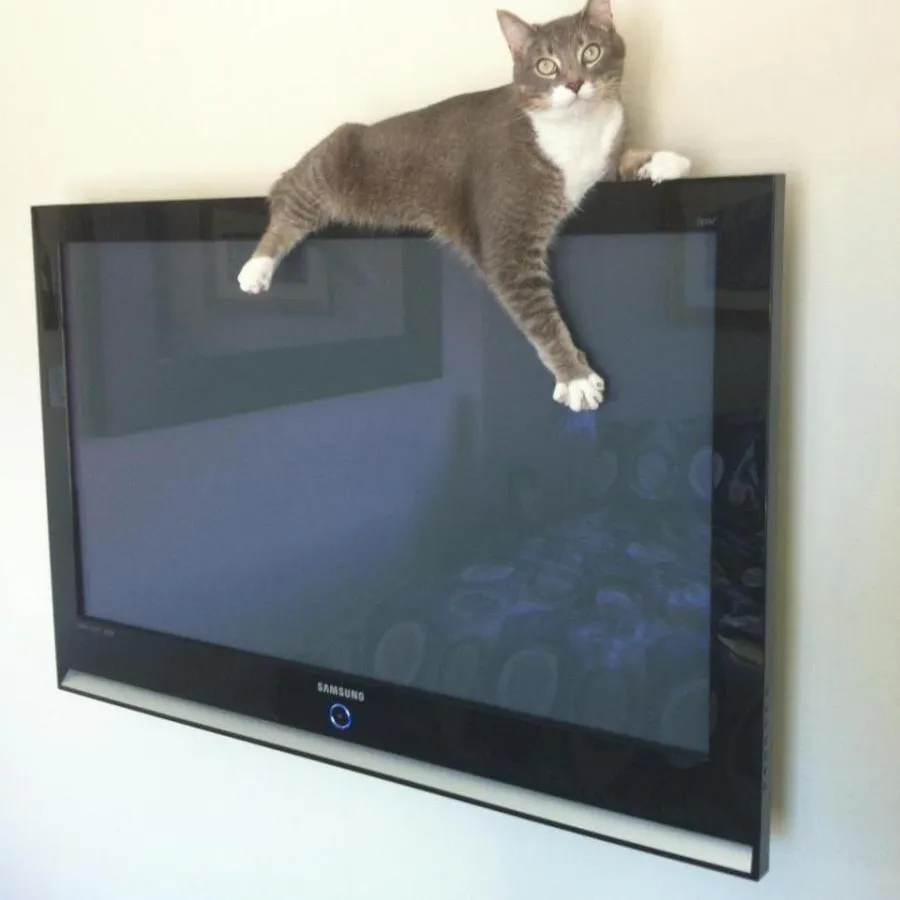 Россияне массово отказываются от просмотра телевизоров