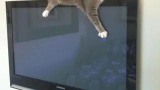 Россияне массово отказываются от просмотра телевизоров