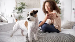 Жители Владимирской области поделились информацией о расходах на содержание домашних питомцев