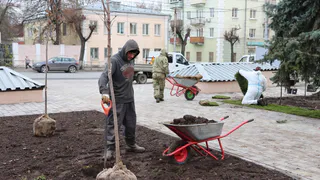 На Большой Московской улице во Владимире грядут изменения ландшафта