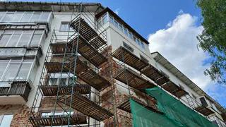 Медвежья услуга: жителей Коми пытаются развести псевдо-юристы