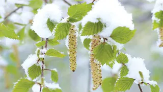 Ну и погодка!