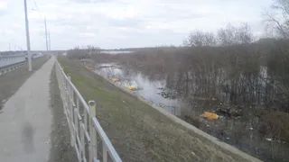 Жители Рязани засняли плывущие желтые холодильники в пойме реки Трубеж