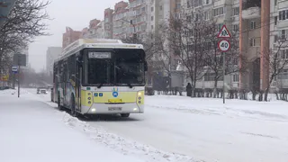 Расписание: как будет работать общественный транспорт Рязани в праздничные дни 
