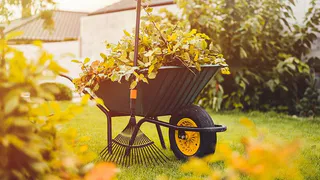 Агроном ответил на актуальные для осени вопросы садоводов