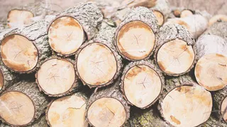 Транспорт для перевозки древесины во Владимирской области не был оснащен необходимым оборудованием