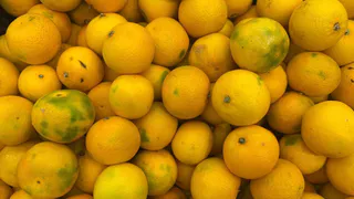 Не дайте себя обмануть: как с легкостью отличить настоящие абхазские мандарины от турецких - берите на заметку
