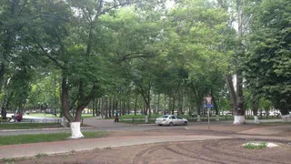 «Сделайте пешеходный переход к парку Тукая в Нижнекамске!»