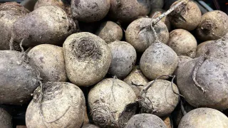 Свекла с перцем на зиму: сытная и универсальная заготовка — не только вкусно, но и полезно