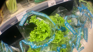 Такая зелень помогает при отеках, замедляет старение и успокаивает нервы: добавляю в салаты и блюда