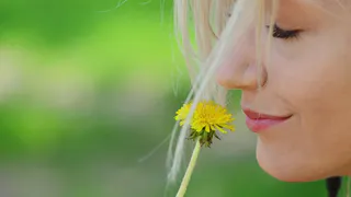 Закончить май владимирцы могут Днем желтых носов от одуванчиков