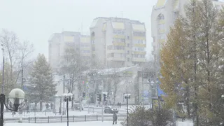 В Удмуртии на неделе прогнозируют морозы до -31 градуса 